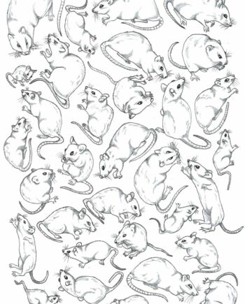 Décalcomanie TL222 Petites souris
