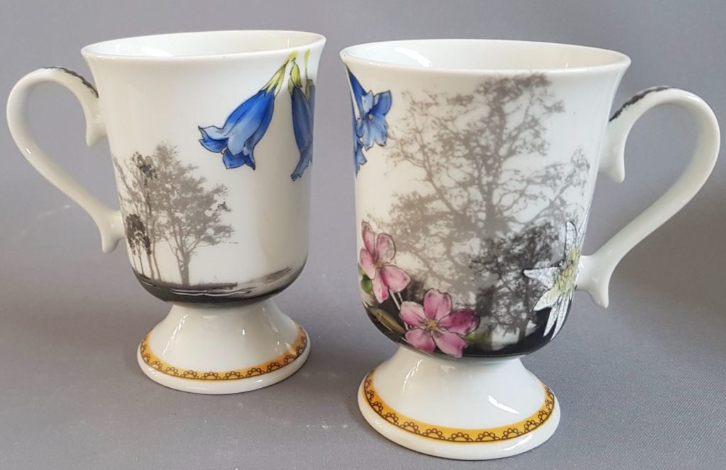 Fiche Déco N°26 Fleurs des Alpes