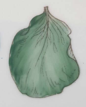 Vert-de-gris