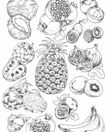Décalcomanie TL143 Fruits exotiques
