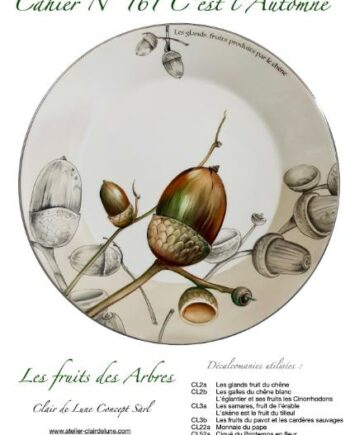 Cahier N°161 C'est l'Automne
