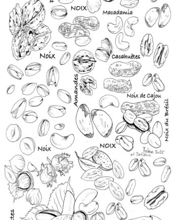 Décalcomanie CL30 Fruits à coques